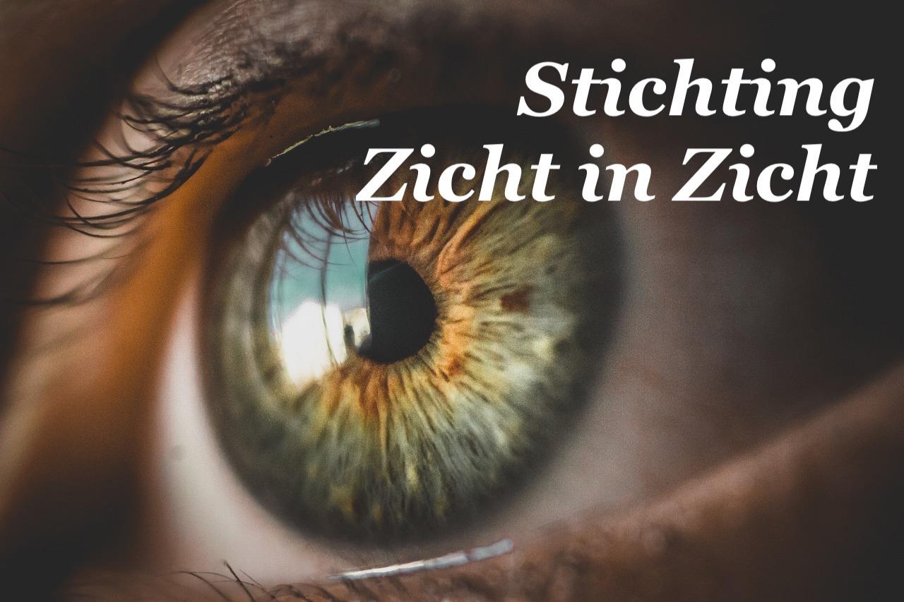 eye-gda951b276_1280 Tekst Stichting Zicht in Zicht op foto van oog